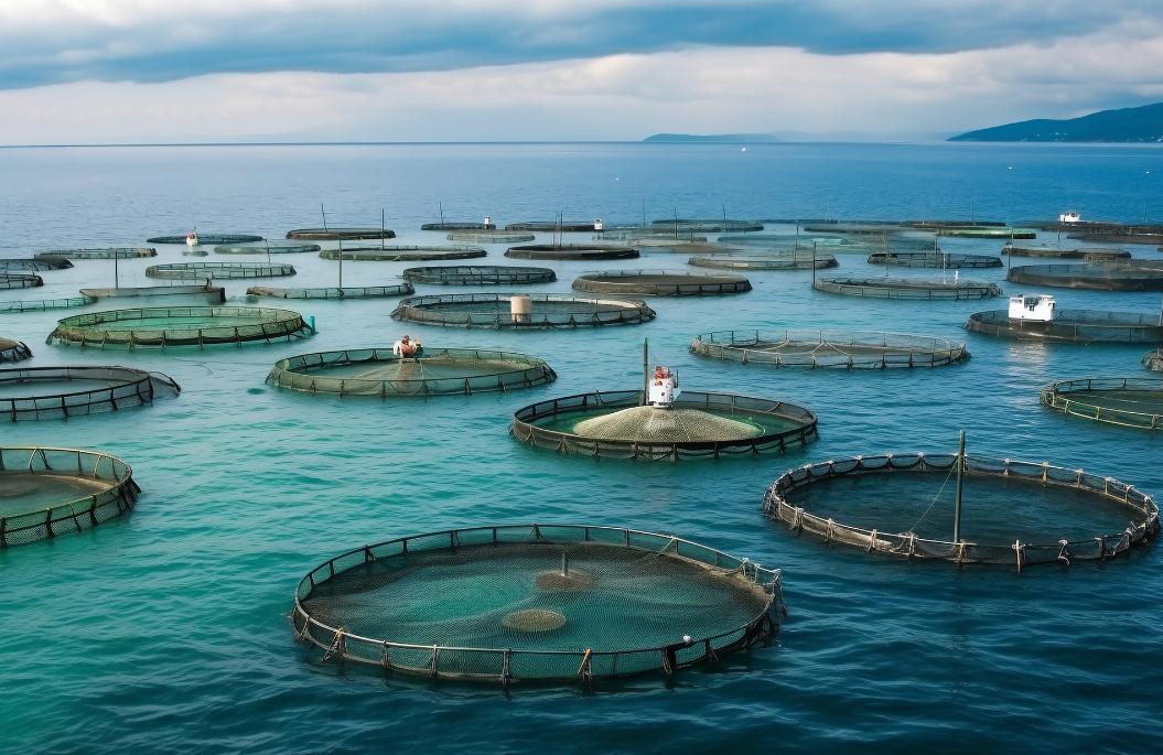 2023海洋漁業(yè)的創(chuàng)新趨勢(shì)與發(fā)展模式研究