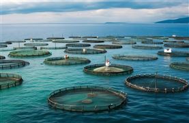 2023海洋漁業(yè)的創(chuàng)新趨勢與發(fā)展模式研究
