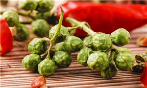 青花椒行業(yè)調研 青花椒行業(yè)發(fā)展趨勢及市場現狀分析
