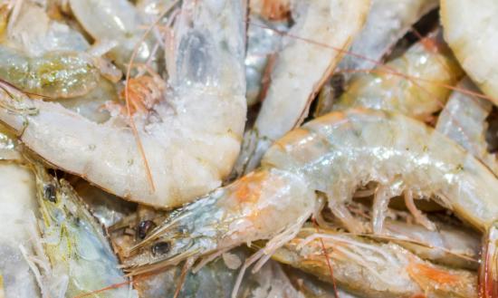 水產(chǎn)品加工行業(yè)市場(chǎng)發(fā)展趨勢(shì)分析：到2026年我國(guó)人均水產(chǎn)品消費(fèi)量將達(dá)到23千克