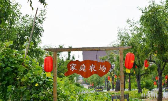家庭農(nóng)場行業(yè)發(fā)展現(xiàn)狀分析及市場環(huán)境