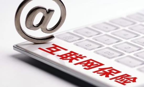 2024互聯(lián)網(wǎng)保險行業(yè)深度調(diào)研及業(yè)務(wù)模式