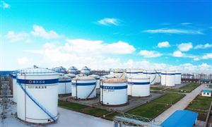 化工物流行業(yè)發(fā)展分析與投資：2023年國(guó)內(nèi)?；肺锪魇袌?chǎng)規(guī)模為2.38萬(wàn)億元