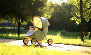 2024嬰兒車行業(yè)發(fā)展狀況及進出口市場分析