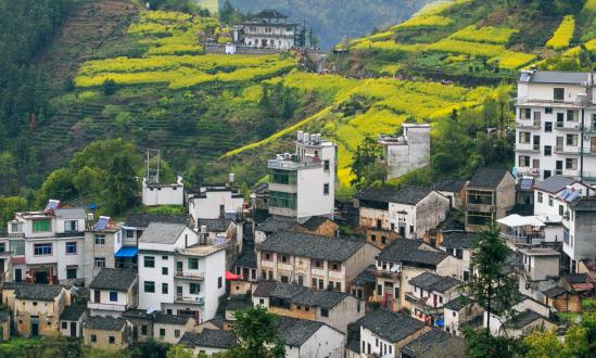 生態(tài)旅游是一種正在迅速成長發(fā)展的新興旅游形態(tài)  生態(tài)旅游產(chǎn)業(yè)發(fā)展趨勢