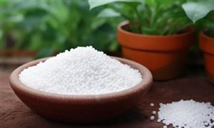 磷肥行業(yè)發(fā)展現(xiàn)狀 磷肥產(chǎn)品進(jìn)出口市場分析