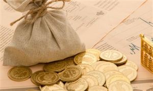 宣布了 知名公司中植企業(yè)申請(qǐng)破產(chǎn)清算 財(cái)富管理行業(yè)市場發(fā)展現(xiàn)狀分析