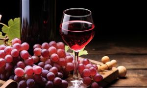 外賣訂單暴增1600% 這一熱紅酒飲品成今冬爆款 紅酒行業(yè)市場(chǎng)深度分析發(fā)展策略報(bào)告