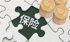兩大保險巨頭 合資500億設(shè)私募有新進(jìn)展光速完成備案 保險基金行業(yè)風(fēng)險投資態(tài)勢