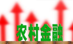 農(nóng)村金融行業(yè)深度分析研究：金融支持實體經(jīng)濟發(fā)展提質(zhì)增效