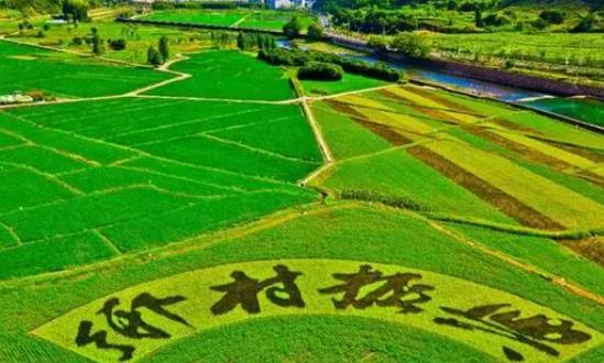 中國(guó)鄉(xiāng)村振興戰(zhàn)略發(fā)展分析及前景展望