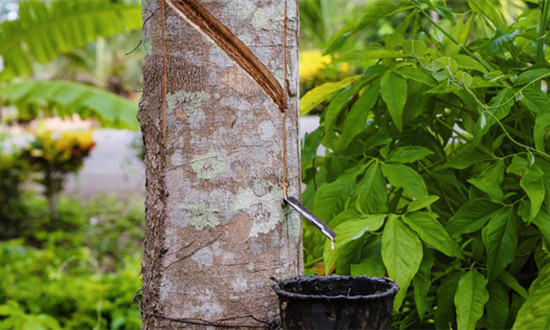 橡膠軟化劑行業(yè)現(xiàn)狀及趨勢分析：綠色化、低碳化成為橡膠軟化劑行業(yè)發(fā)展趨勢
