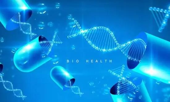 2024生物科技行業(yè)市場深度分析：發(fā)展循環(huán)經(jīng)濟和推動廢棄物的資源化利用是重要趨勢