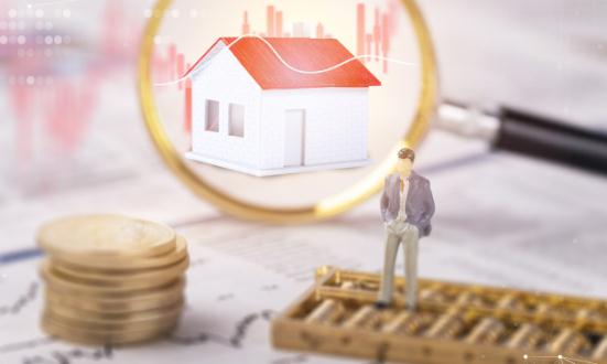 2024中國再擔(dān)保行業(yè)市場前瞻與未來投資戰(zhàn)略分析