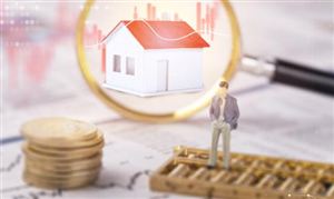 2024中國再擔(dān)保行業(yè)市場前瞻與未來投資戰(zhàn)略分析