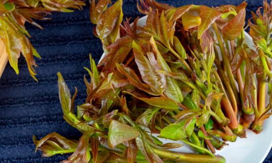 我國香椿種植面積逐年擴大?  我國香椿種植行業(yè)市場分析
