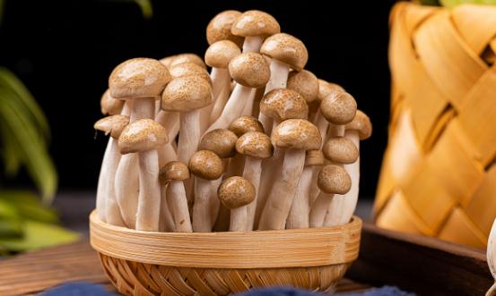 2024食用菌產(chǎn)業(yè)現(xiàn)狀及未來(lái)發(fā)展趨勢(shì)分析