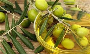 原生橄欖油行業(yè)發(fā)展前景與消費分析：向健康、有序、規(guī)范、專業(yè)化方向發(fā)展