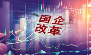 珠海國(guó)資委最新發(fā)布 涉及華發(fā)、格力等 國(guó)企改革市場(chǎng)發(fā)展前景研究與展望分析報(bào)告