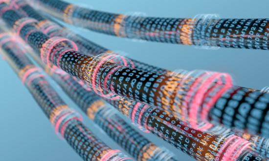 2024特種電纜行業(yè)未來發(fā)展方向預(yù)測