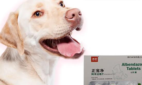 寵物醫(yī)藥行業(yè)市場前景與分析報告