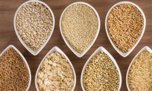 膳食纖維行業(yè)發(fā)展分析報(bào)告：預(yù)計(jì)2029年功能食品市場(chǎng)規(guī)模有望突破4858億元