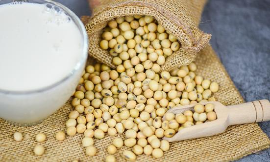 植物蛋白飲料行業(yè)現(xiàn)狀及消費(fèi)趨勢(shì)分析2024
