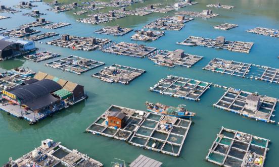2024海洋牧場(chǎng)行業(yè)深度分析與投資調(diào)研分析