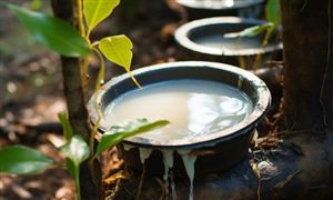 胎企提產(chǎn)帶動橡膠產(chǎn)業(yè)鏈全線探漲 橡膠行業(yè)市場發(fā)展現(xiàn)狀分析