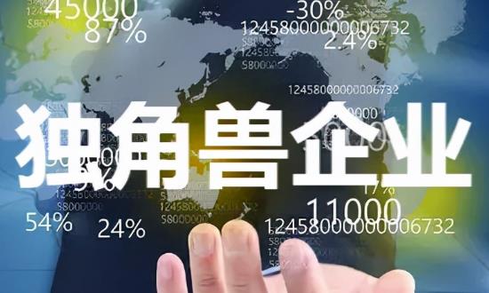 中國獨(dú)角獸企業(yè)發(fā)展現(xiàn)狀與投資機(jī)會(huì)