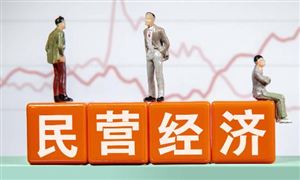民營經(jīng)濟(jì)行業(yè)發(fā)展機(jī)會與前景研究：民營經(jīng)濟(jì)在中國經(jīng)濟(jì)中的比重持續(xù)提升