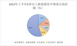 新能源客車行業(yè)現(xiàn)狀及前景分析2024