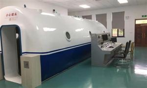 2024中國集中供氧與民用加壓氧倉行業(yè)發(fā)展現(xiàn)狀及重點(diǎn)企業(yè)情況