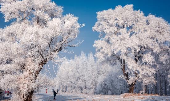 2024冰雪旅游行業(yè)發(fā)展前景調(diào)研：冰雪經(jīng)濟(jì)走上可持續(xù)發(fā)展之路