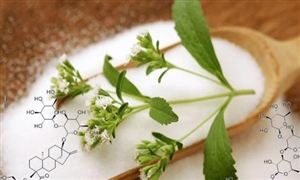 2024甜菊糖苷行業(yè)發(fā)展現(xiàn)狀及趨勢(shì)研究