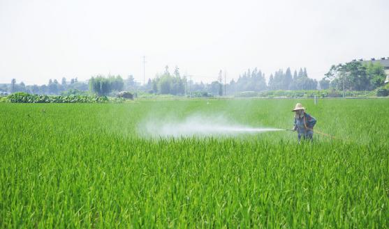生物農(nóng)藥行業(yè)分析：我國(guó)生物農(nóng)藥年產(chǎn)量約14萬噸 市場(chǎng)潛力較大