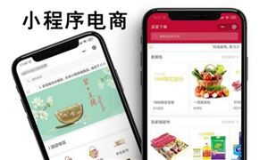 2024年中國微信小程序電商的產(chǎn)業(yè)鏈供需布局分析及行業(yè)發(fā)展趨勢