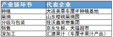 車厘子產(chǎn)業(yè)鏈及其代表企業(yè)分析