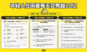 閑置經(jīng)濟行業(yè)市場深度分析 閑魚日均交易額破10億 興趣