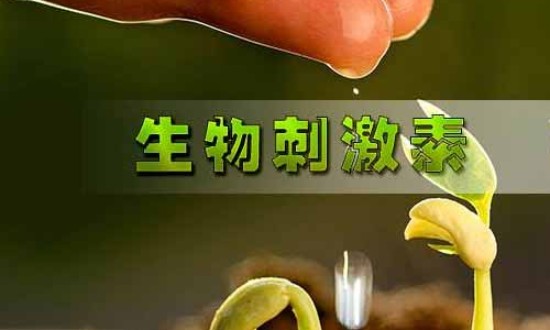 2024年中國生物刺激素行業(yè)的產(chǎn)業(yè)鏈上下游結(jié)構(gòu)及發(fā)展現(xiàn)狀