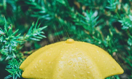 雨傘行業(yè)市場現(xiàn)狀分析及發(fā)展趨勢：健康、環(huán)保、使用便捷是商家加大研發(fā)投入的方向
