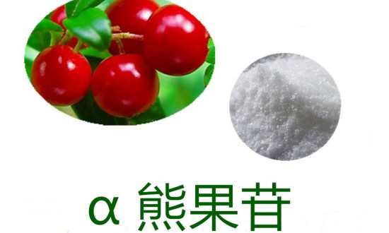 2024年中國熊果苷行業(yè)的產(chǎn)業(yè)鏈上下游結(jié)構(gòu)及重點企業(yè)
