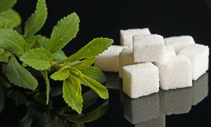 甜菊糖苷的需求持續(xù)增長 甜菊糖苷行業(yè)市場前景研究分析