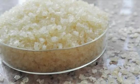 2024明膠行業(yè)深度調研及投資價值研究