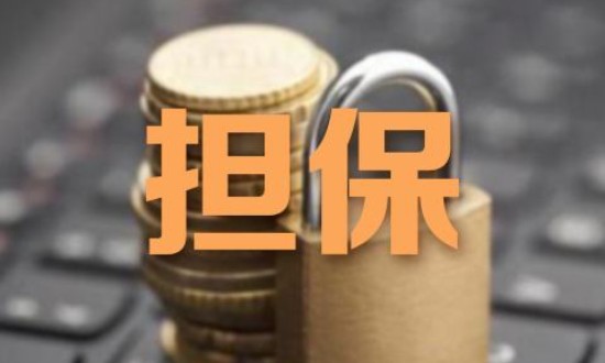 2024年中國擔(dān)保行業(yè)的產(chǎn)業(yè)鏈供需布局及市場發(fā)展現(xiàn)狀