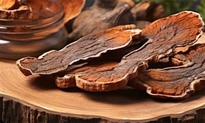 靈芝孢子粉的產(chǎn)值已超100億元 靈芝孢子粉行業(yè)現(xiàn)狀及趨勢預(yù)測