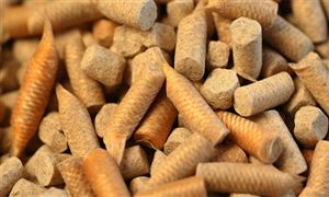 水產飼料行業(yè)市場容量及未來發(fā)展空間預測2024