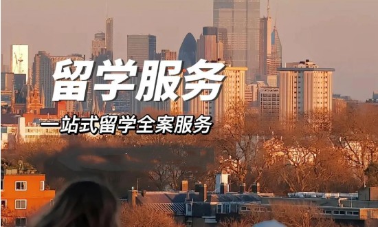 2024年留學服務(wù)行業(yè)的產(chǎn)業(yè)鏈供需布局及市場發(fā)展現(xiàn)狀