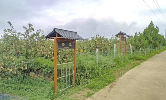 2024年示范農(nóng)場行業(yè)的產(chǎn)業(yè)鏈上下游結(jié)構(gòu)及發(fā)展趨勢