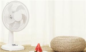 2024年中國電風(fēng)扇市場(chǎng)深度調(diào)查研究報(bào)告：節(jié)能功能將是一個(gè)不可忽視的發(fā)展方向